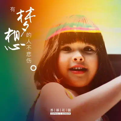 我们 - 苏菲花园封面