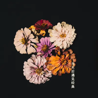 怀念(Album Version)封面