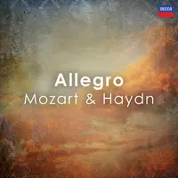 Mozart: Symphony No. 25 in G Minor, K. 183 - I. Allegro con brio