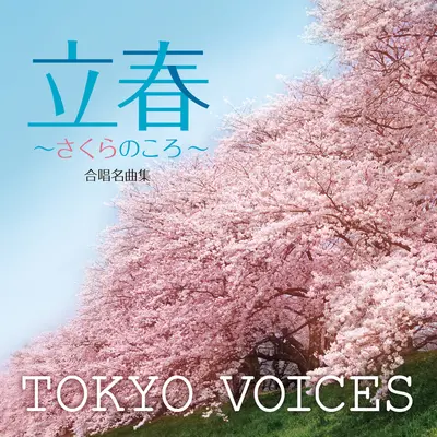 心の瞳 (カラオケ)+ココロノヒトミ (カラオケ)+Kokorono Hitomi (Karaoke)(Karaoke)封面