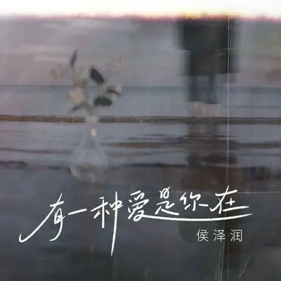 有一种爱是你在 (DJ九零版)封面