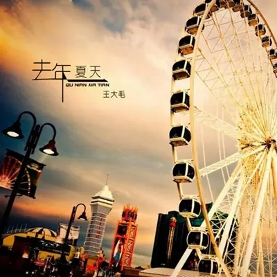 去年夏天(DJ版) - 王大毛封面
