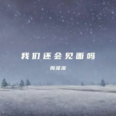 我们还会见面吗封面
