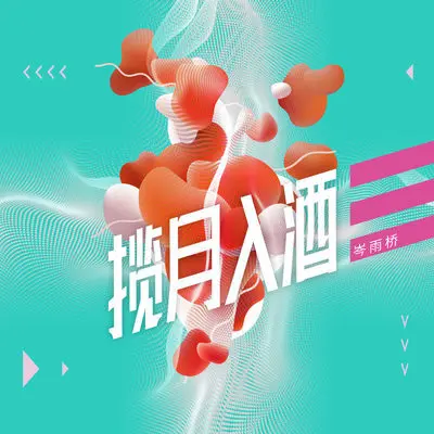 揽月入酒 DJ版封面