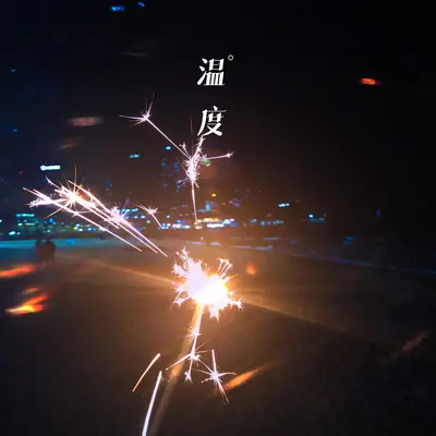 小傻瓜封面