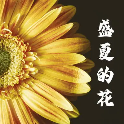 倾城一笑封面