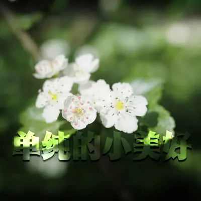 雨中封面