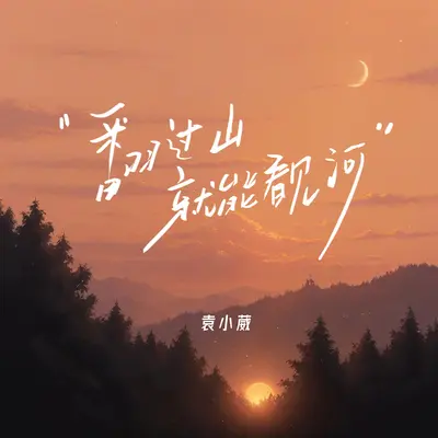 翻过山就能看见河(DJ阿本版)封面