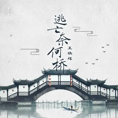 逃亡奈何桥(DJ九零版)封面