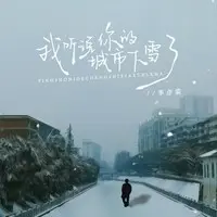 我听说你的城市下雪了(DJ九零版)