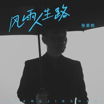 风雨人生路(Live合唱版)封面