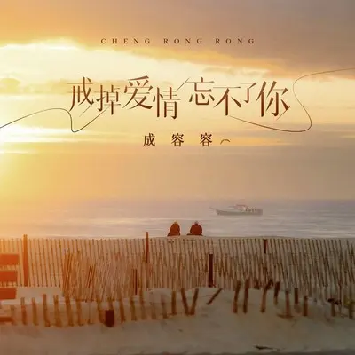 戒掉爱情忘不了你封面