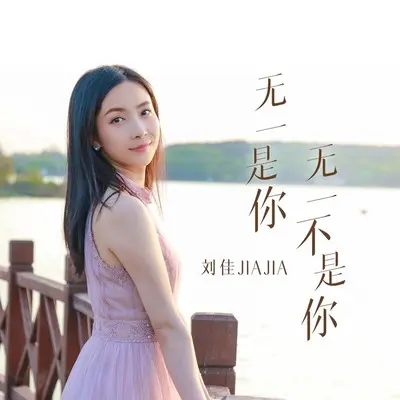 无一是你无一不是你封面