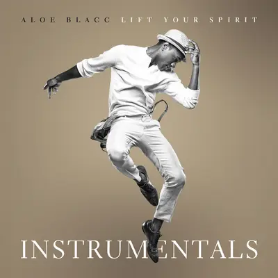 Wake Me Up (Instrumental)(Instrumental) - Aloe Blacc封面