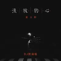 流放的心(DJ默涵版)