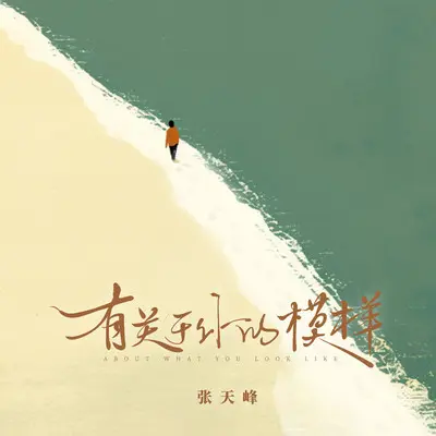 有关于你的模样 - 张天峰封面