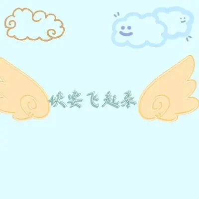 快要飞起来封面