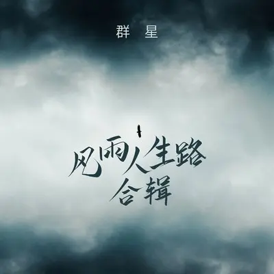风雨人生路(兄弟版)封面