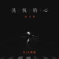 流放的心(DJ九零版)