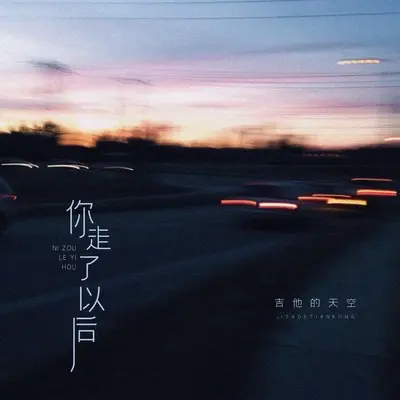 你走了以后 (伴奏)封面