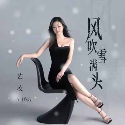 风吹雪满头(DJ默涵版)封面