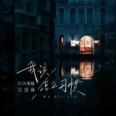 我该怎么习惯(DJ九零版) - 吴岱林封面