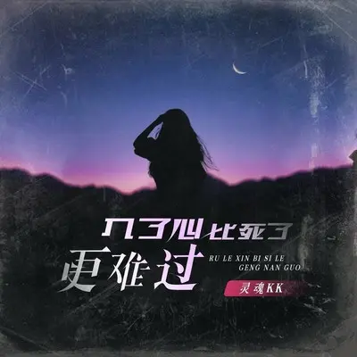 入了心比死了更难过(DJ九零版)封面
