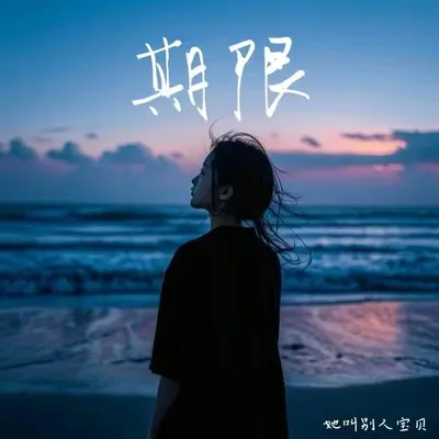 期限封面