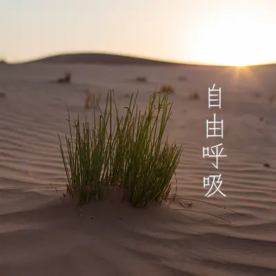 旗开得胜封面