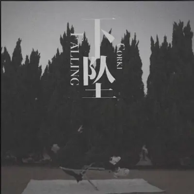下坠Falling封面