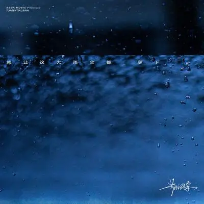就让这大雨全都落下（深情版）（伴奏）封面