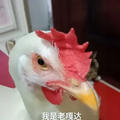 老旮瘩封面