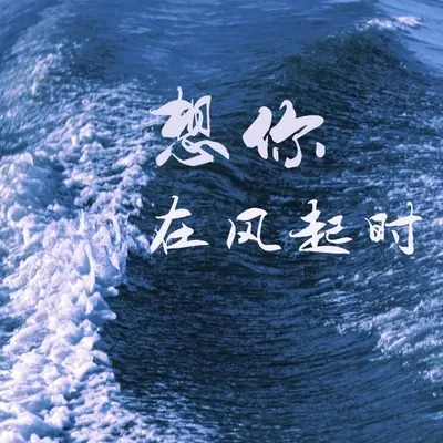 想你在风起时封面