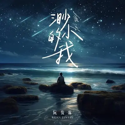渺小的我 - 阮俊霖封面