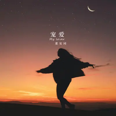 宠爱封面
