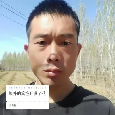 墙外的篱笆开满了花封面