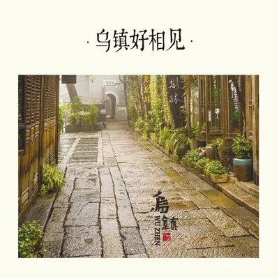 乌镇好相见封面