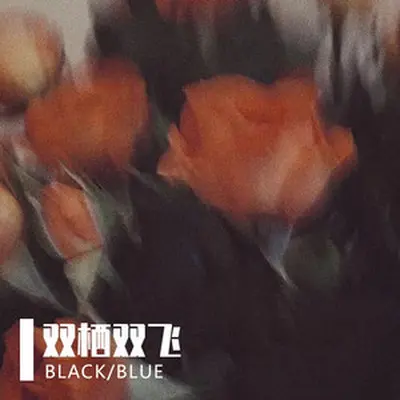 双栖双飞(伴奏)封面