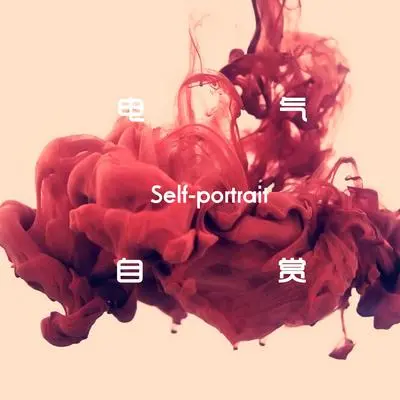 湮灭 - 自画像乐队封面