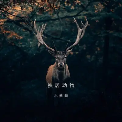 独居动物封面
