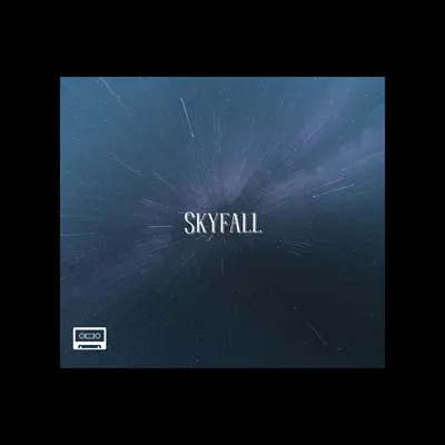 Skyfall封面