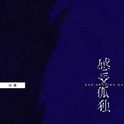 感受孤独(作者版)封面