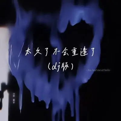 太久了不会重逢了(DJ版)封面