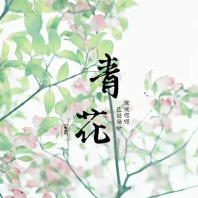 青花(恍恍惚惚 已经隔世)封面