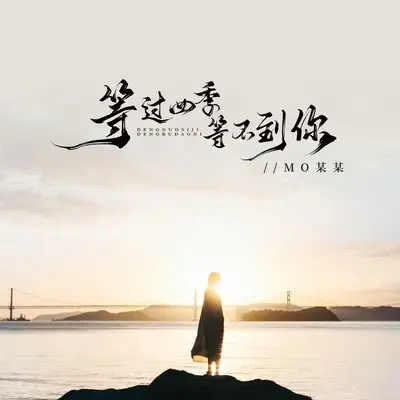 等过四季等不到你封面