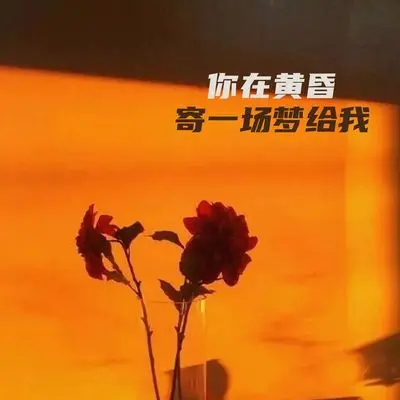 春天的地铁 - Poker Shaw封面