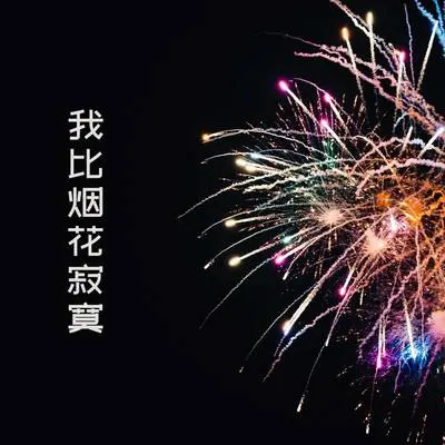 夜空总有最忧郁的蓝色封面