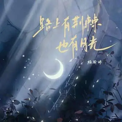 路上有荆棘也有月光封面