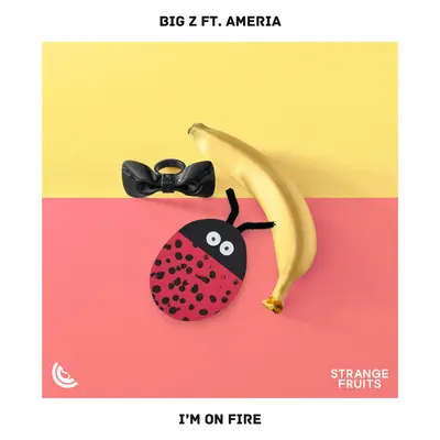 I'm On Fire (feat. Ameria)封面