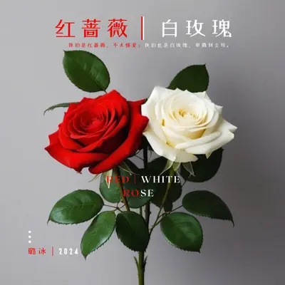 红蔷薇 白玫瑰封面